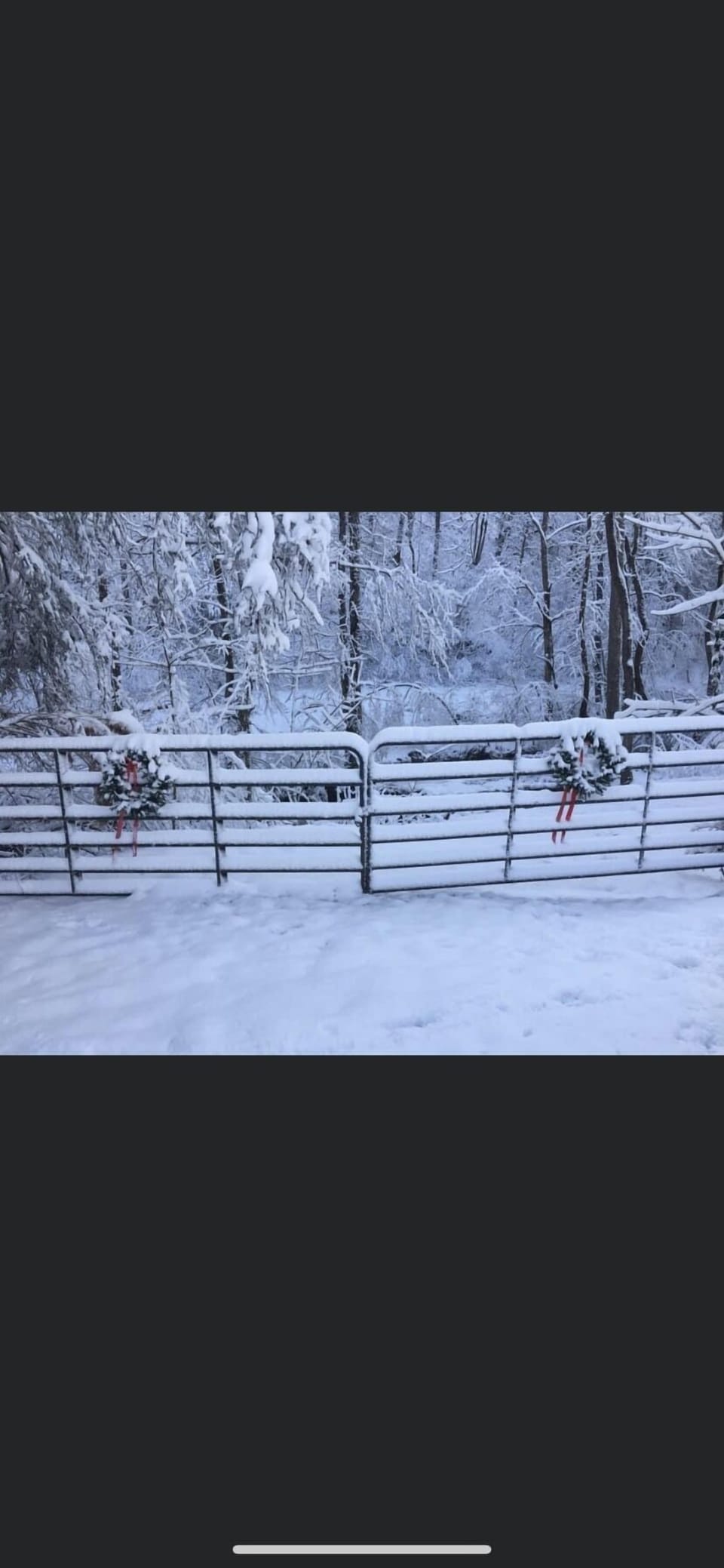We are sometimes blessed with a lot of snow that guests can enjoy in Winter.