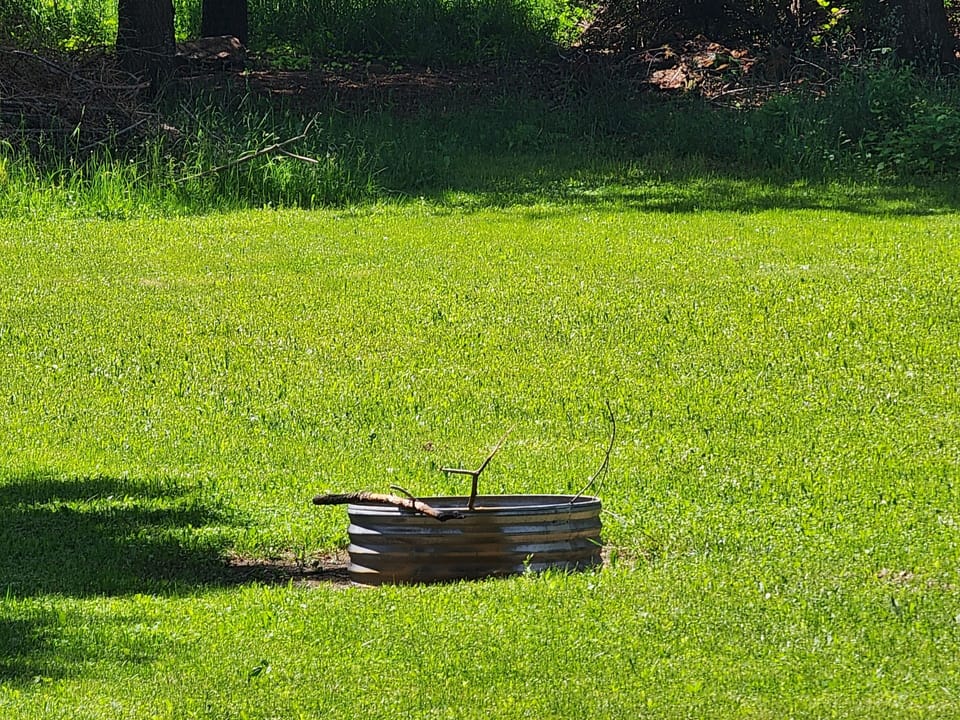 One of two fire rings is located near the back of the two acres 