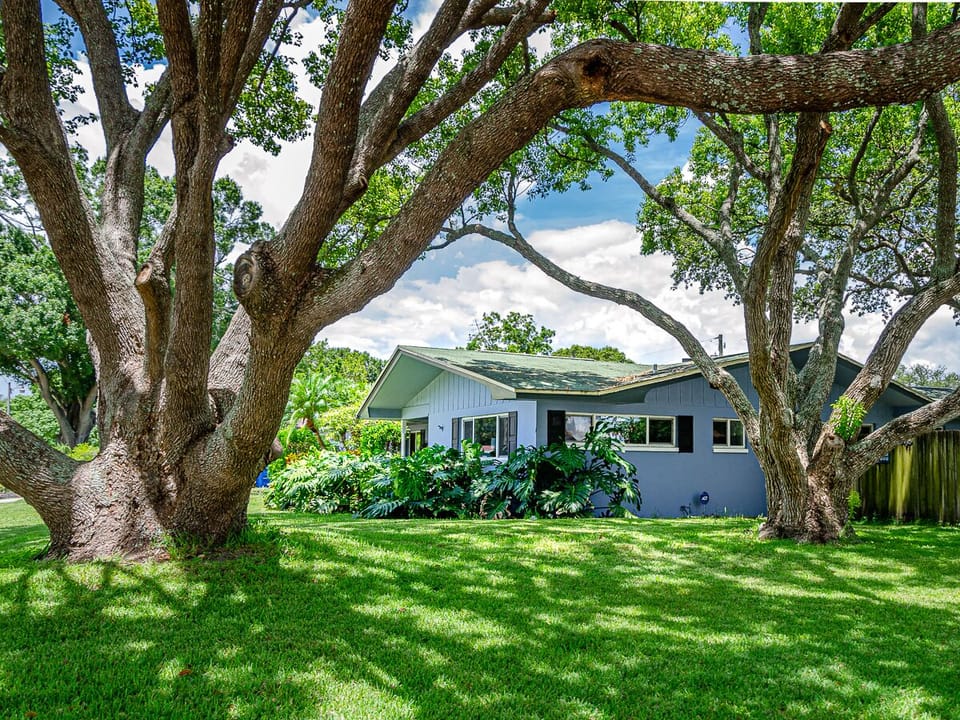 Beautiful, quite neighborhood lined with oak trees