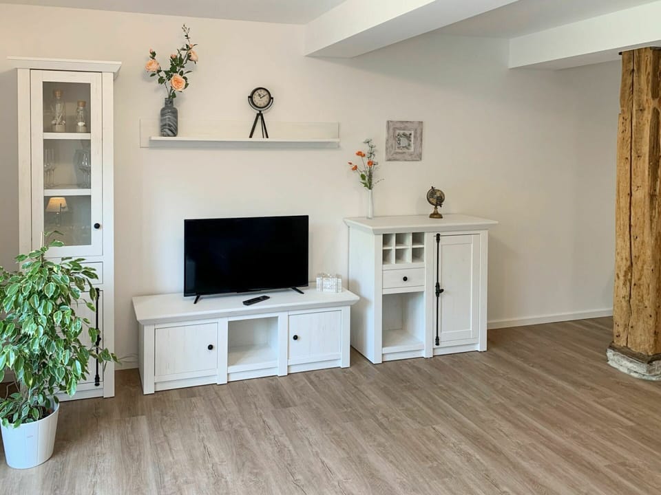 Cabinetry, Furniture, Property, Plant, Shelving, Television, Wood, Living Room, Lighting, Floor