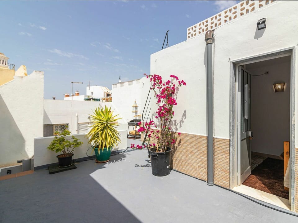 Plant, Flower, Sky, Flowerpot, Door, Building, Architecture, Interior Design, Shade, Flooring
