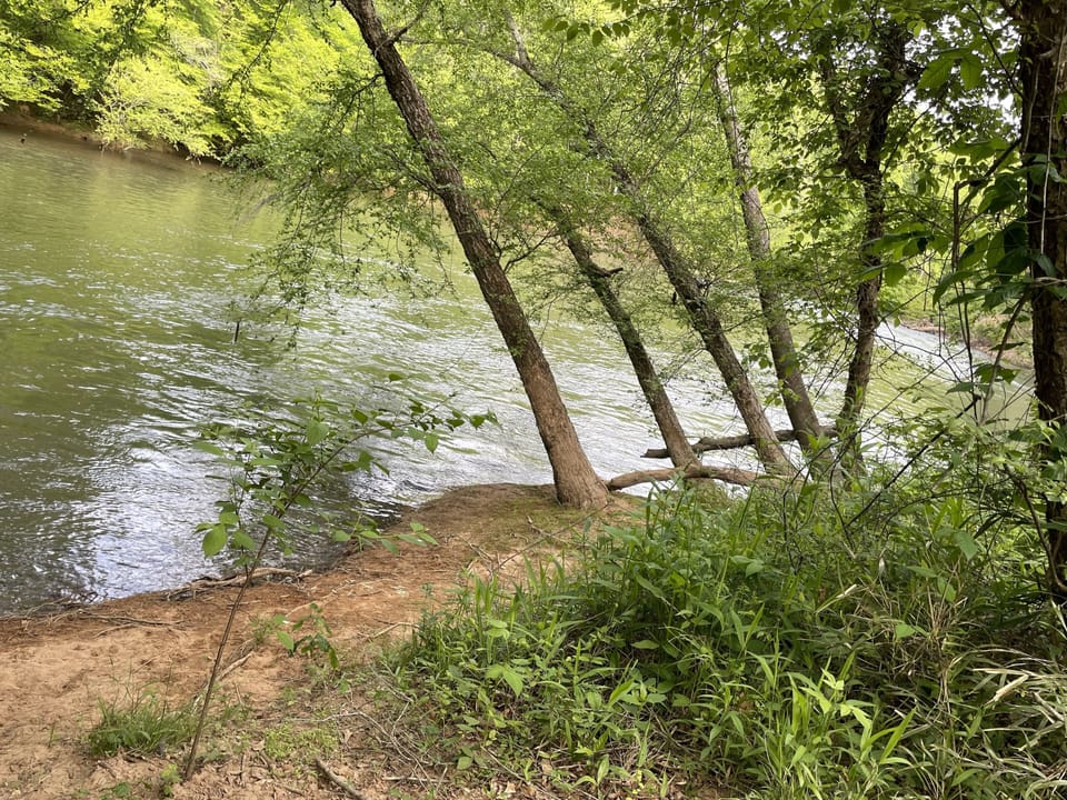 Our own hidden gem in the back of the community. Take a walk/sit by Saluda River