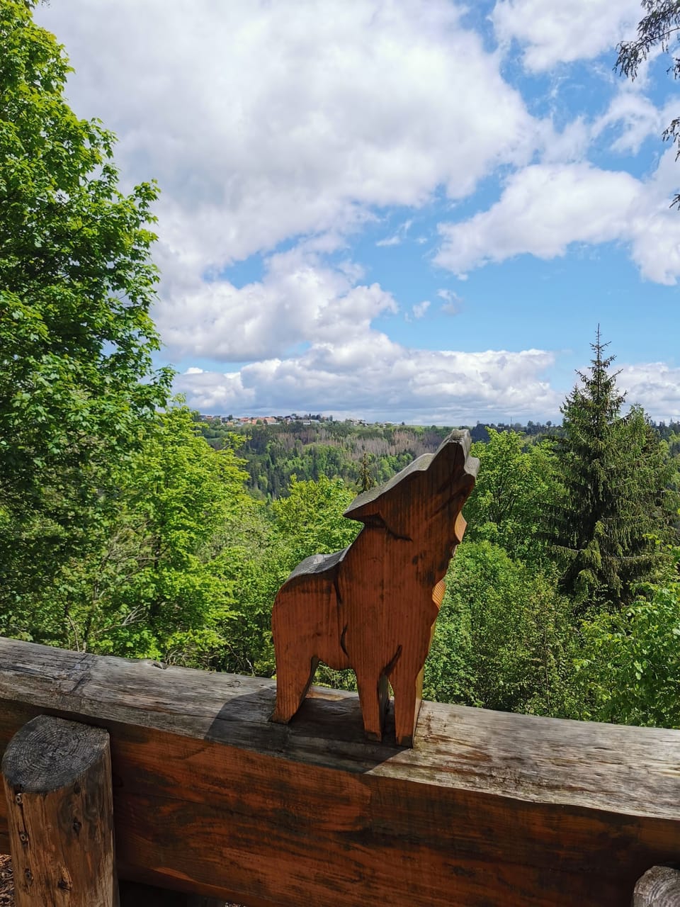 View from property