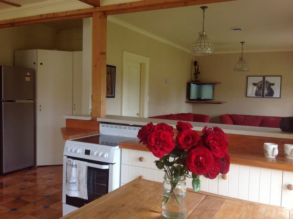 Open plan living room and kitchen