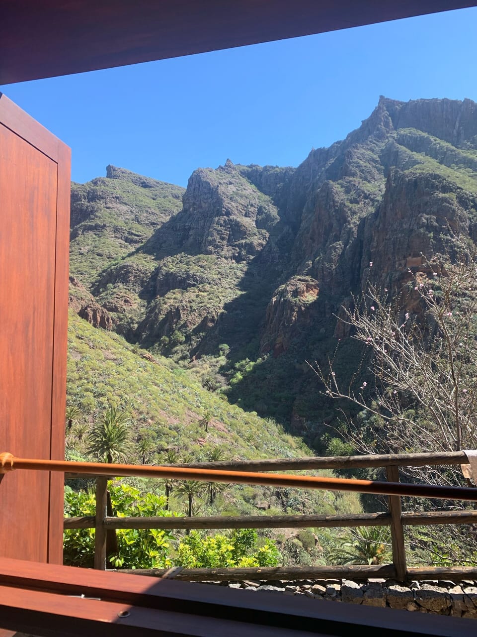 View from property