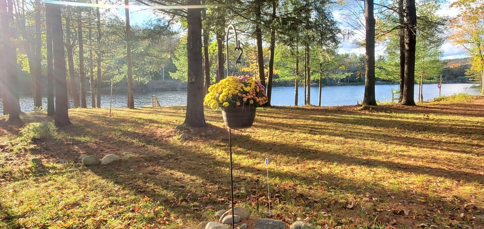 Beautiful fall day views