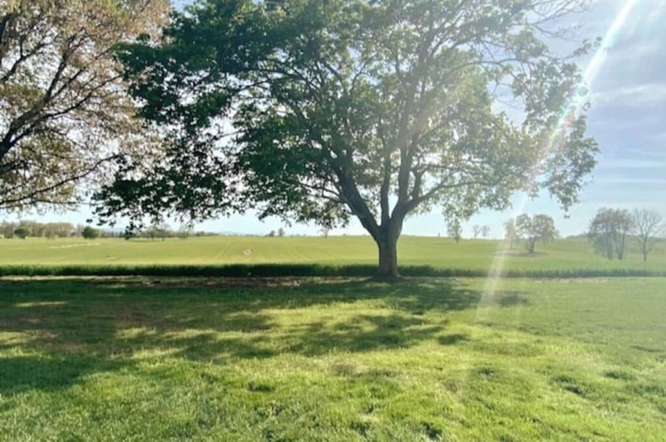 View from beside the Cottage