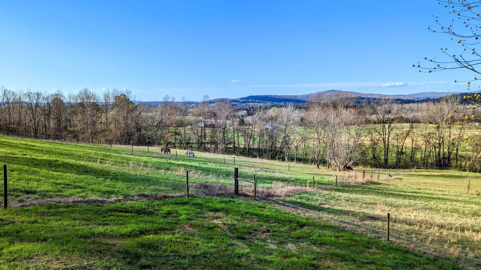 View from back yard