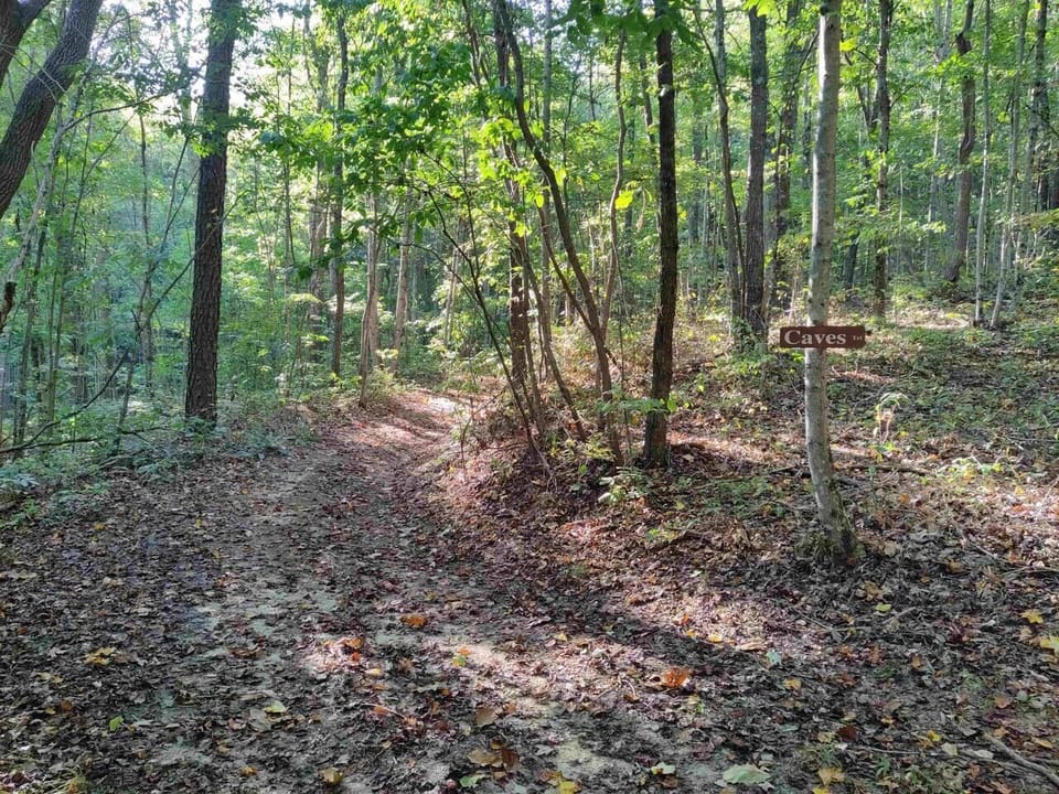 Liberty Trail at Caves Trail