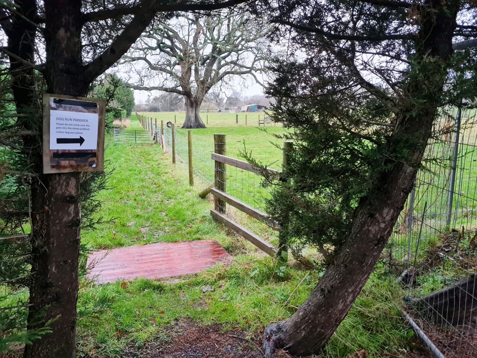 Path to dog run