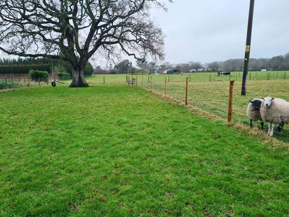 Dog run paddock