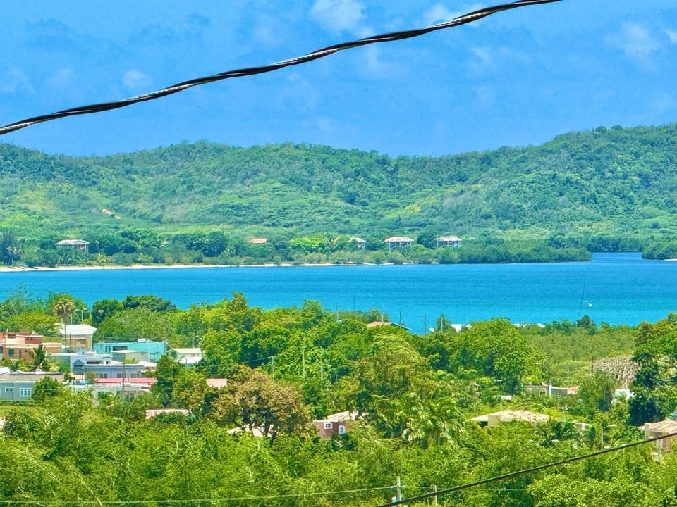 View from Balcony