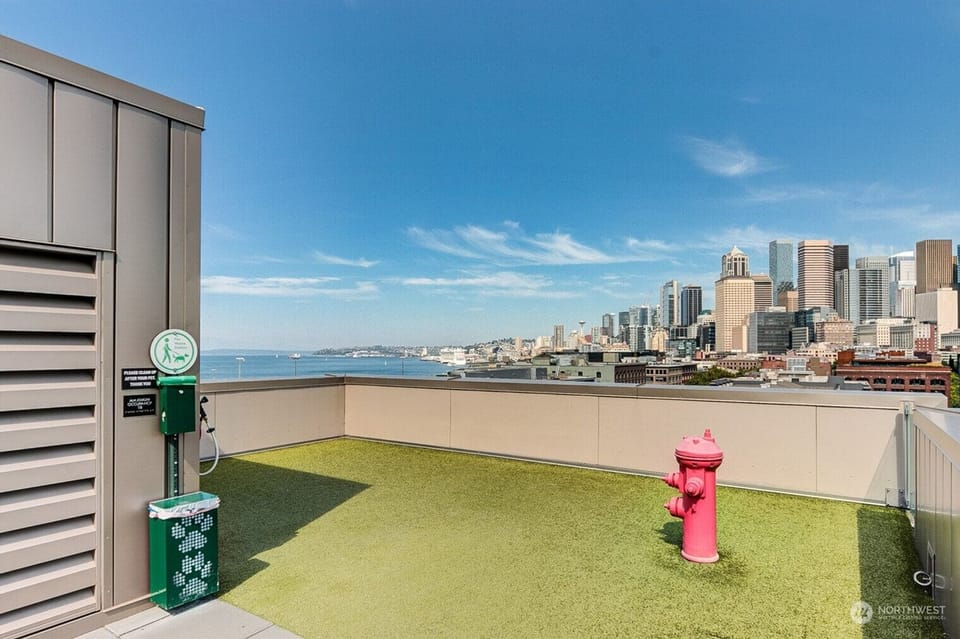 View from property