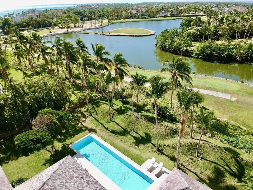 Birdie view
