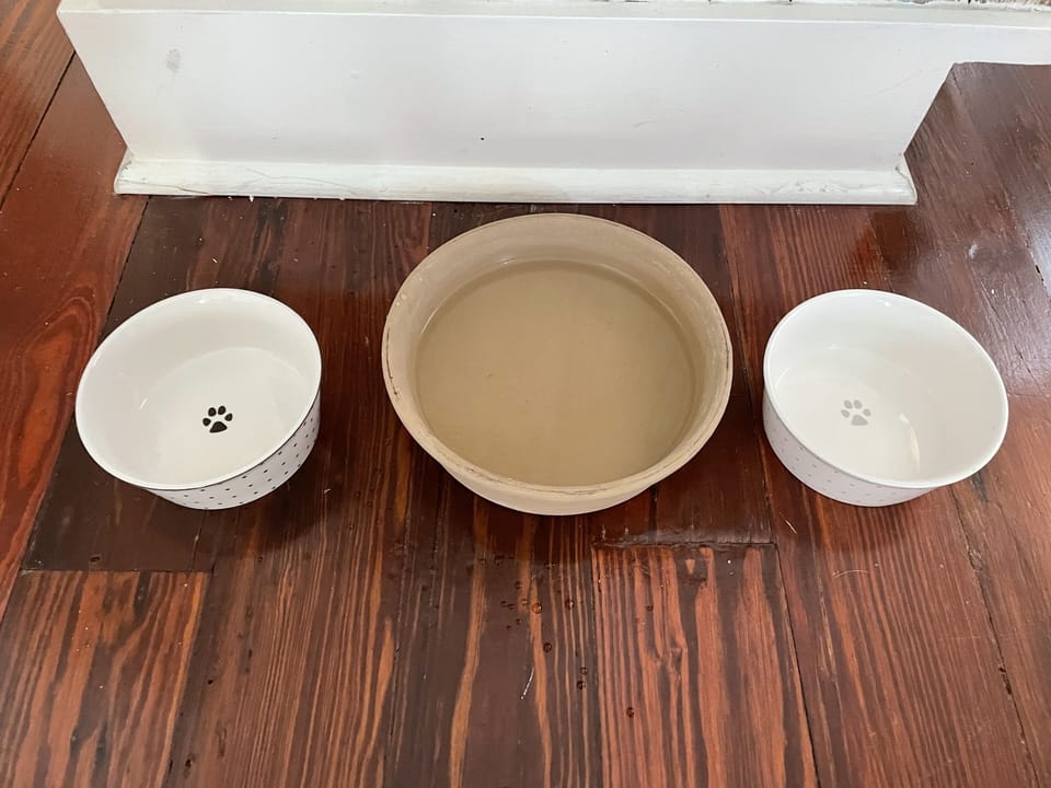 Pet friendly!  Ask us about your pet.  Exceptions made for multiple small dogs.