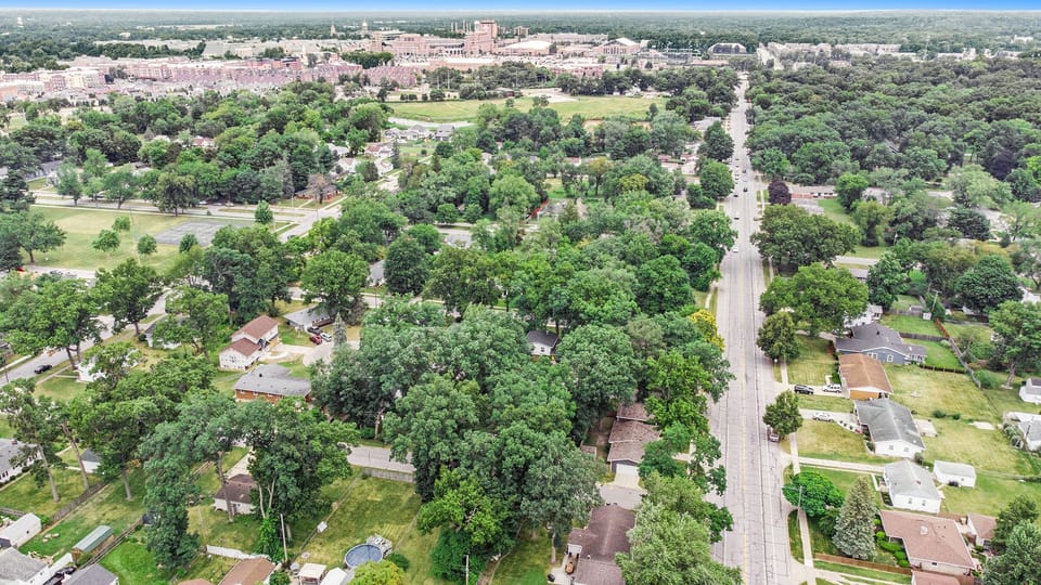Short walk up the road to Notre Dame!