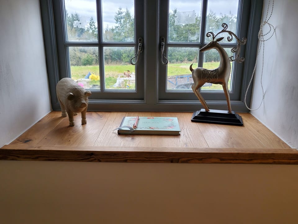 Image 28