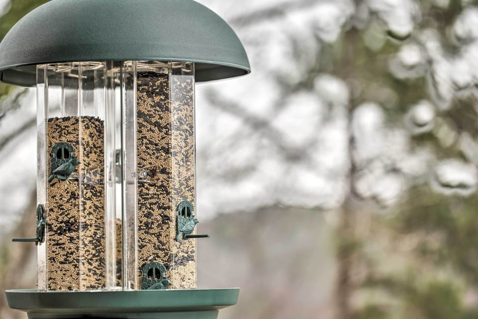 Bird Feeders