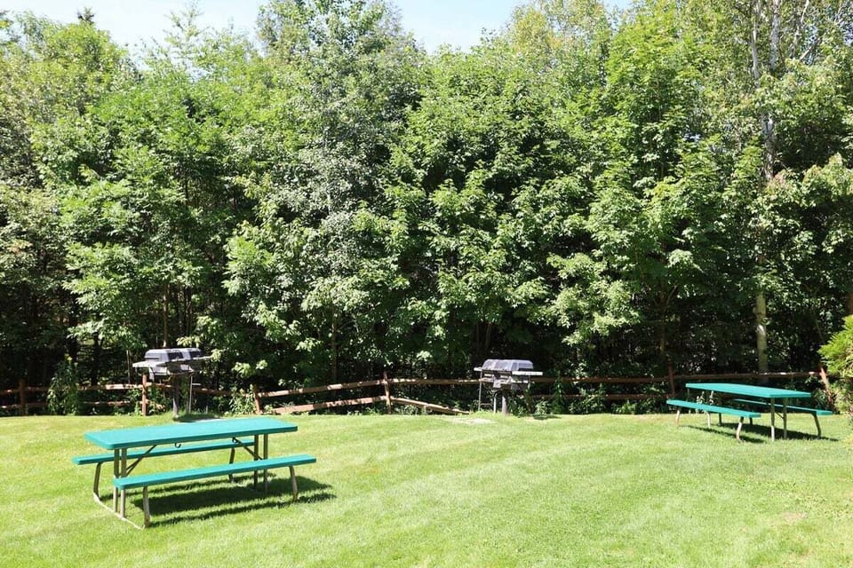 Shared Gas Grill and Recreational Area