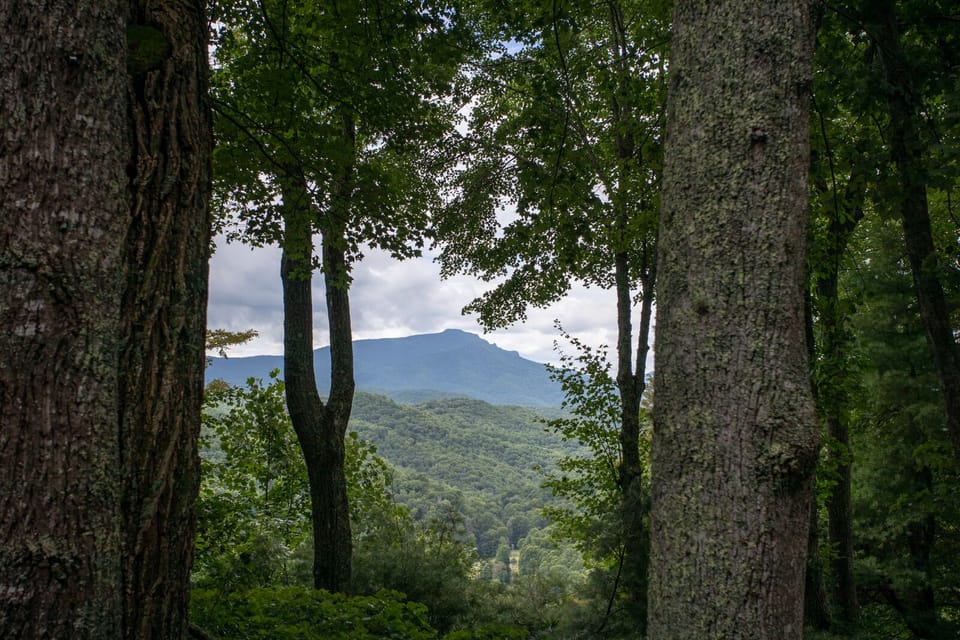 Though wooded, there are wonderful views of Grandfather Mountain from Azalea Hill