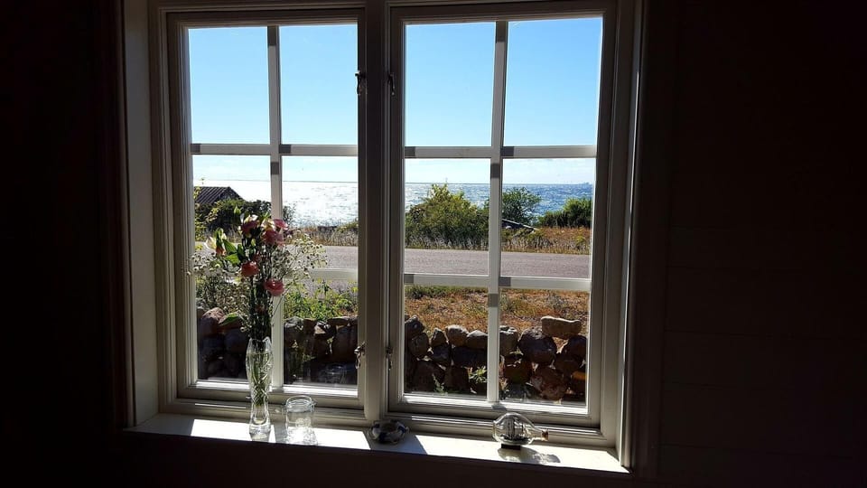 View from the window