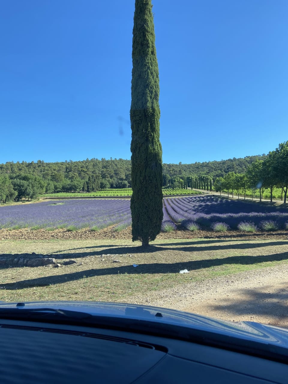 View from property