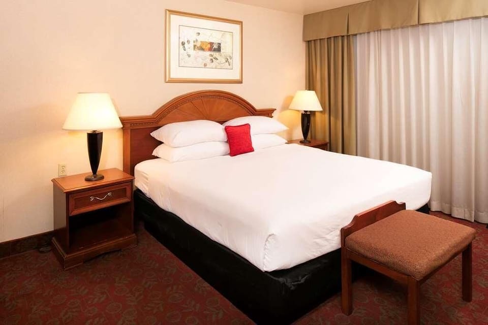 Sink into a plush king bed under warm, soothing light.