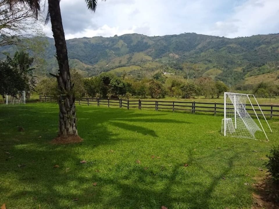 Sport court