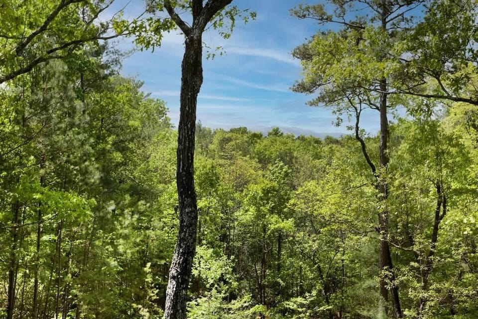 DECK VIEW