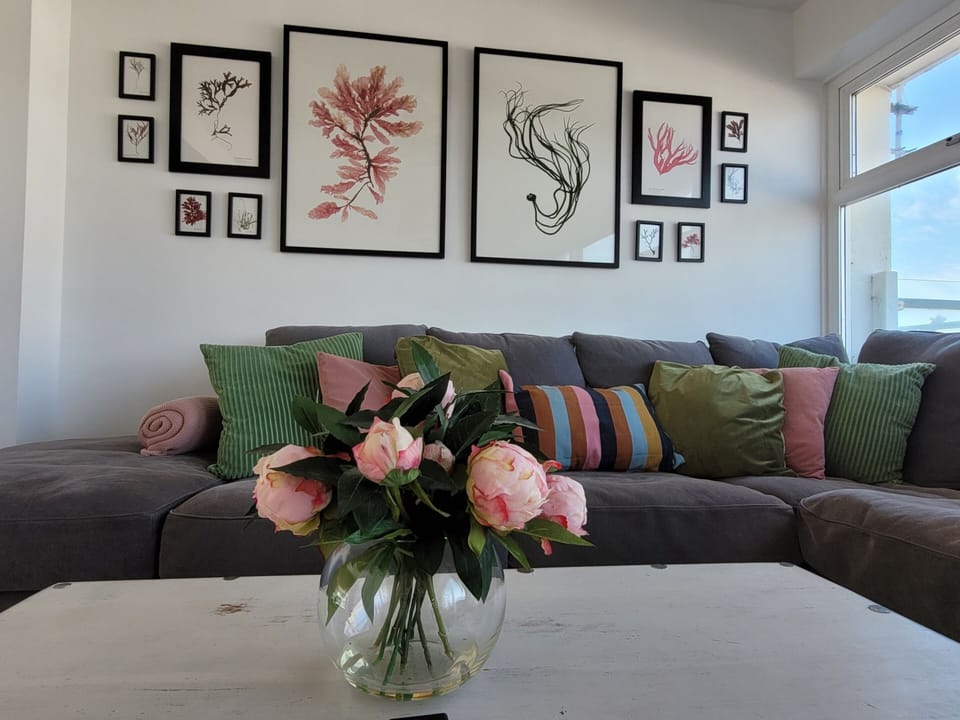 Living Room / Lounge