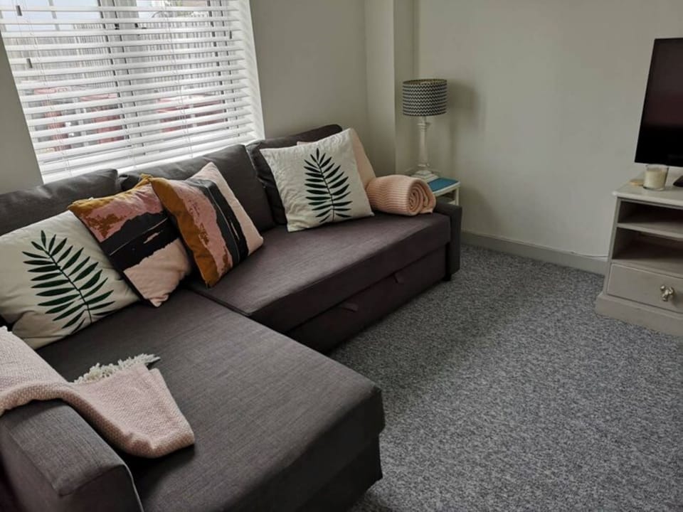 Living room with sofa bed