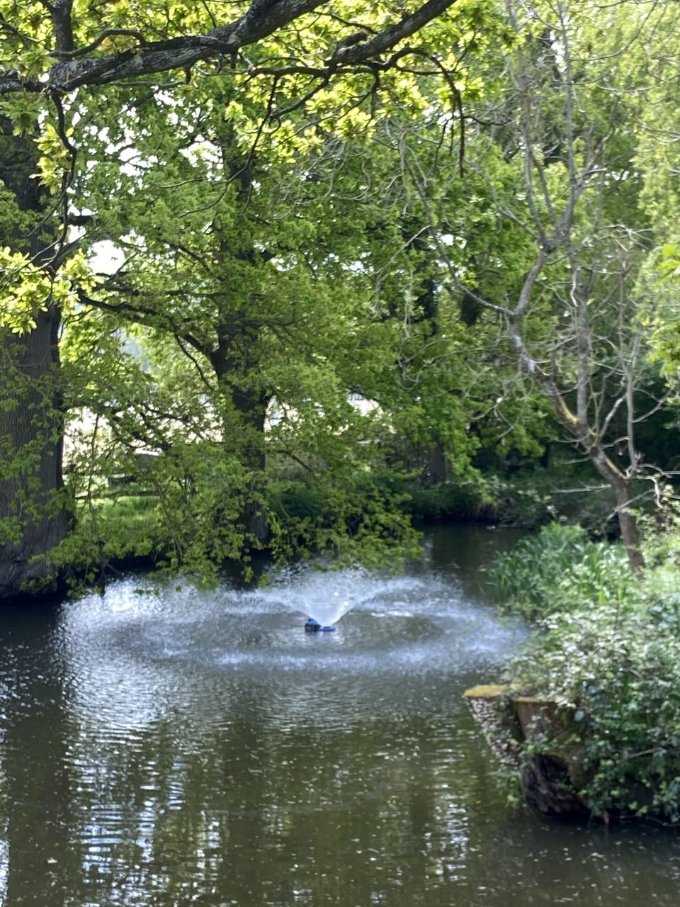 Water feature