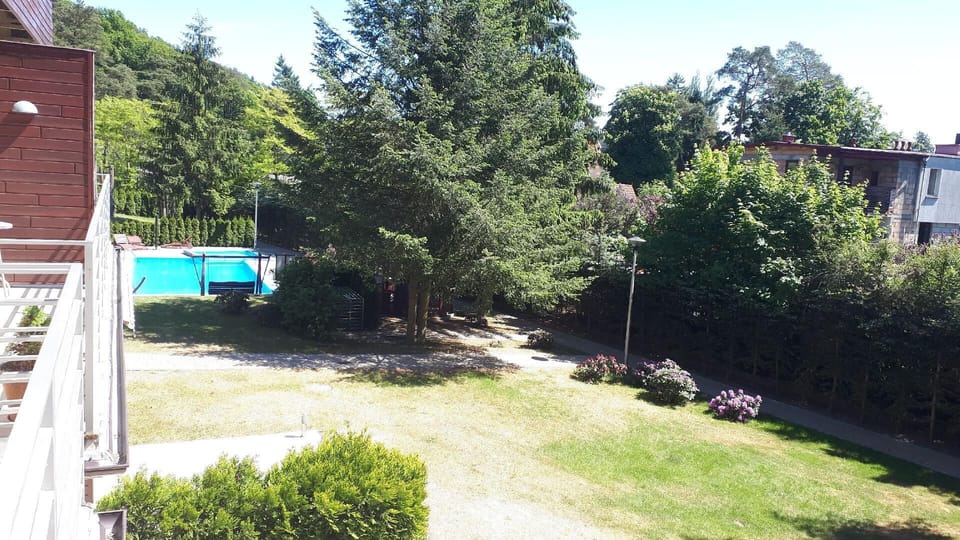 View from the window