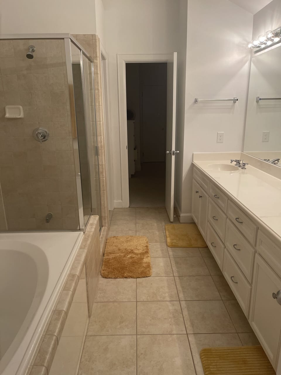 Master bathroom 