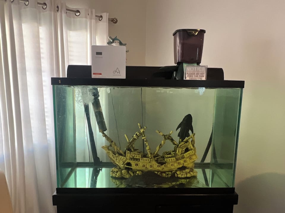 Aquarium with auto feeder and aromatherapy.