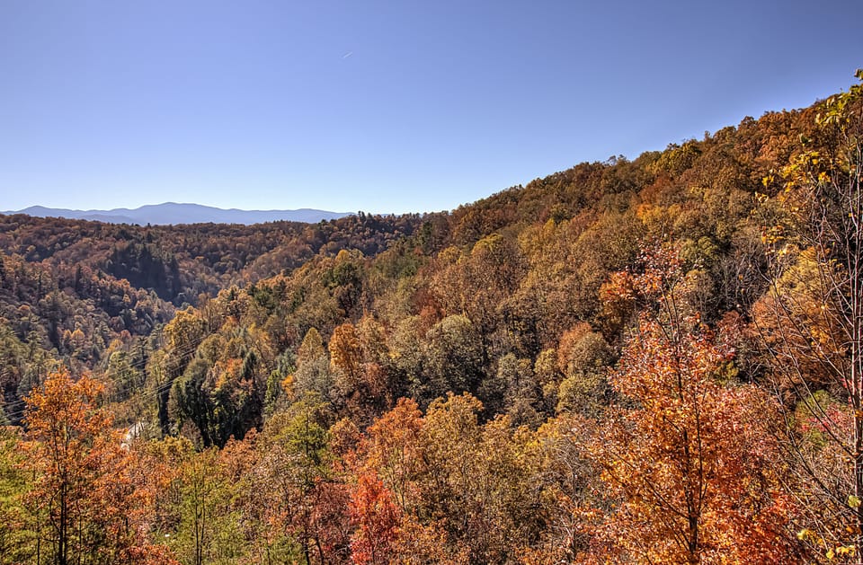 Fall view from cabin