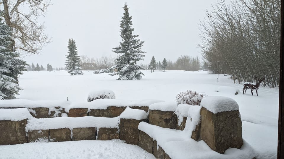 Back patio in winter