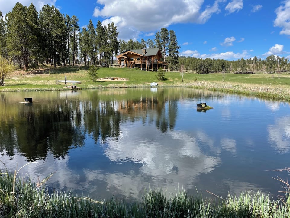 Spring fed pond with fish.