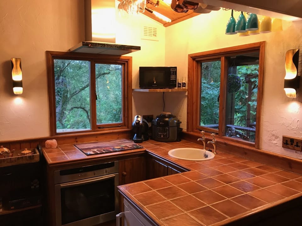 Log Cabin Kitchen