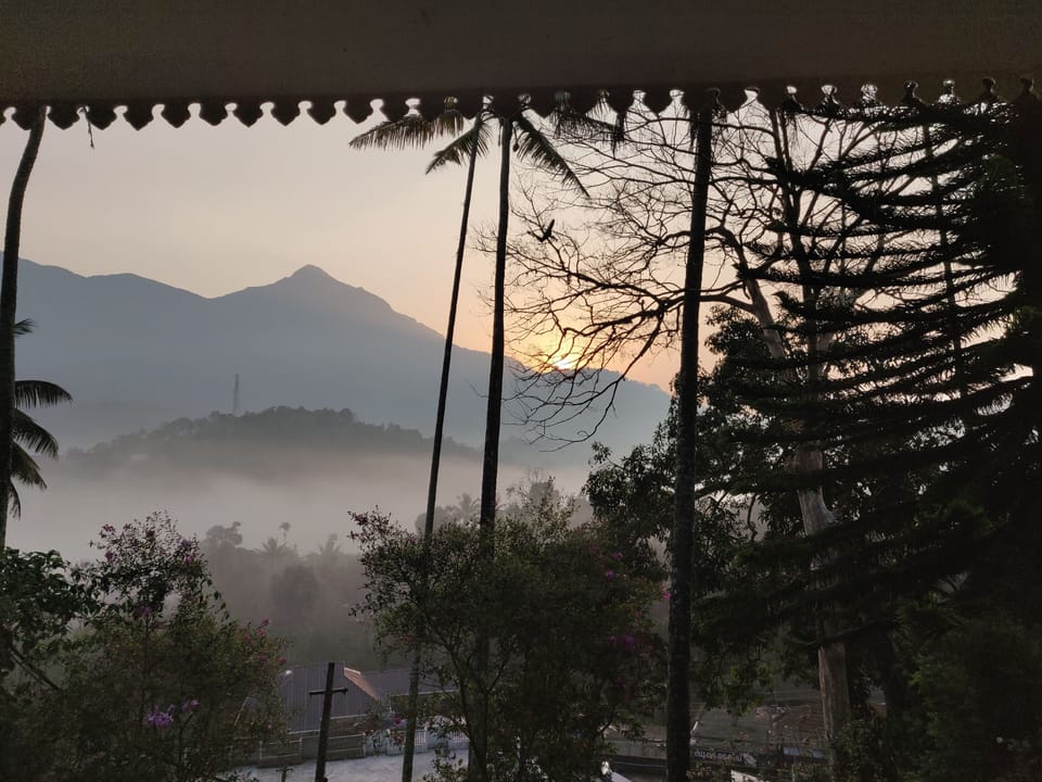 View from property