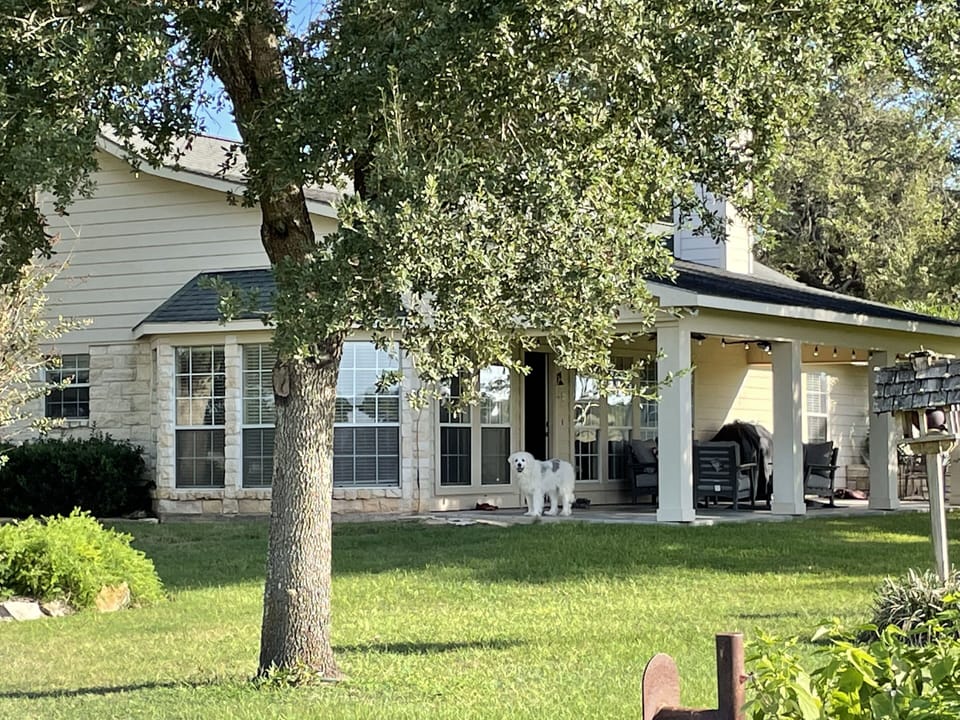 About an acre is fully fenced in around the house, so your pups can run safely