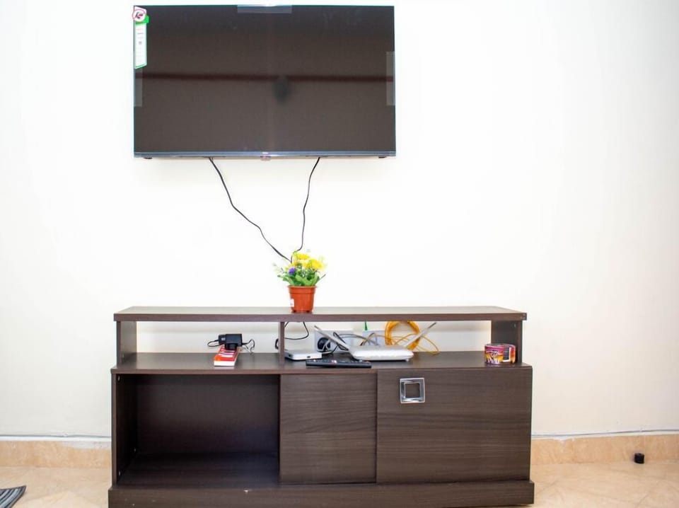 Television