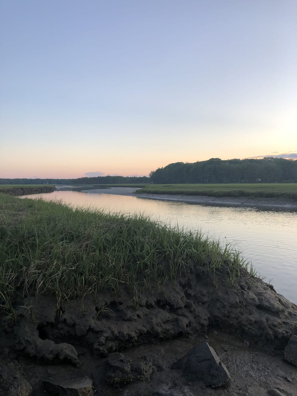 View of the marsh 
