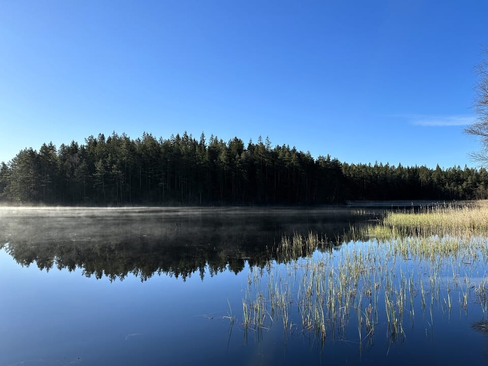 The lake is magical in the morning perfect for watching birds and wildlife