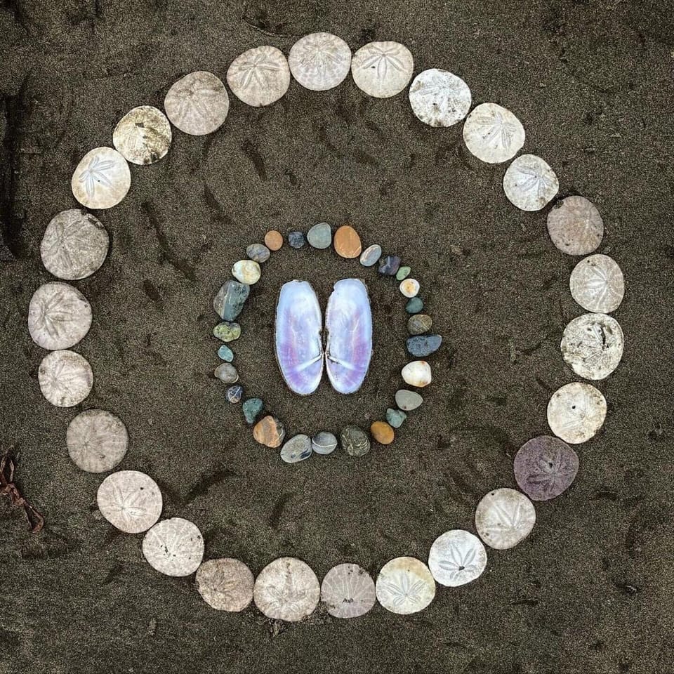Treasures on the beach. 