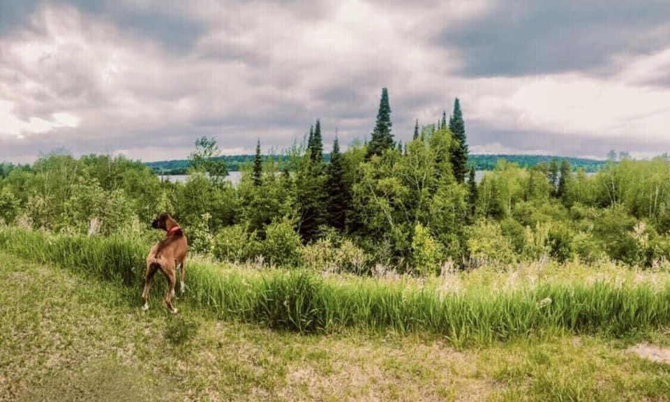 Plenty of views like this one up here!