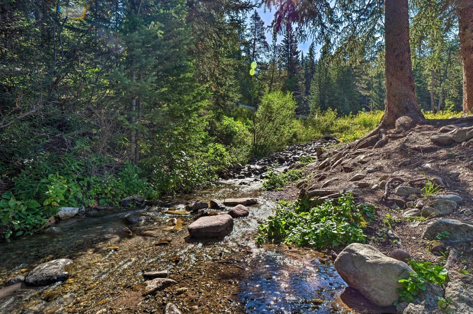 Surrounding Area