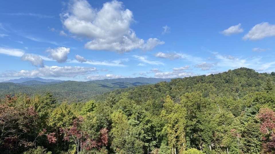 Year-Round Views from the Deck