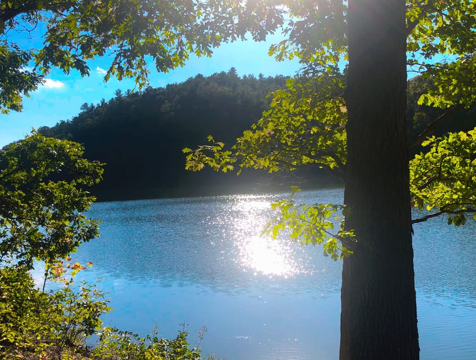 Lake Laura