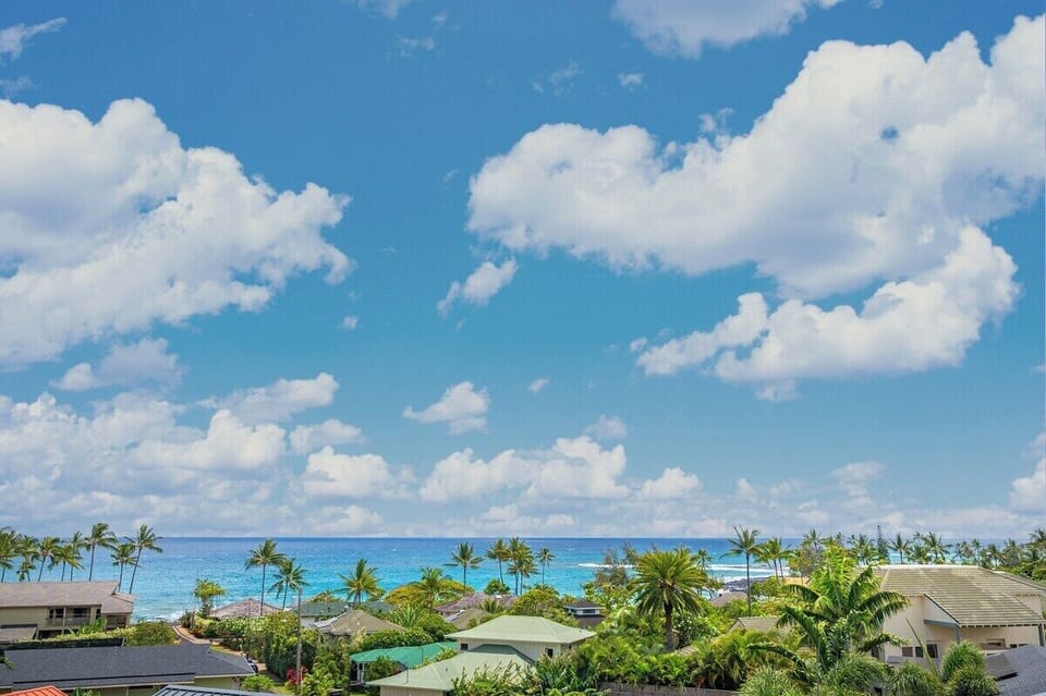 Manualoha 610 - Gorgeous Panoramic View of the Pacific Ocean